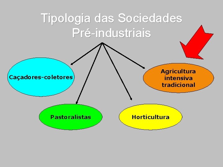 Tipologia das Sociedades Pré-industriais Caçadores-coletores Pastoralistas Agricultura intensiva tradicional Horticultura 