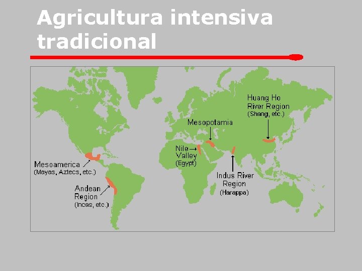 Agricultura intensiva tradicional 