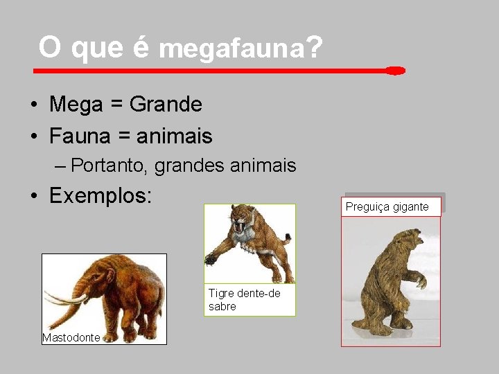 O que é megafauna? • Mega = Grande • Fauna = animais – Portanto,