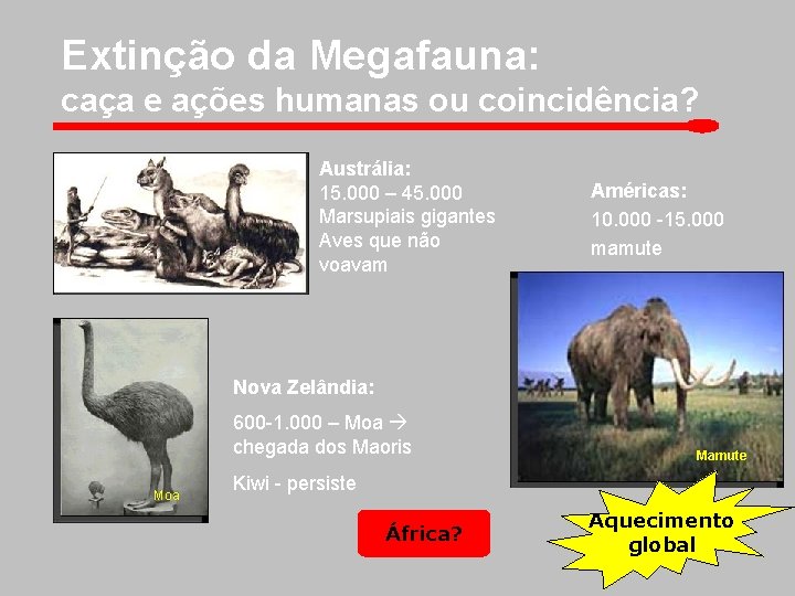 Extinção da Megafauna: caça e ações humanas ou coincidência? Austrália: 15. 000 – 45.