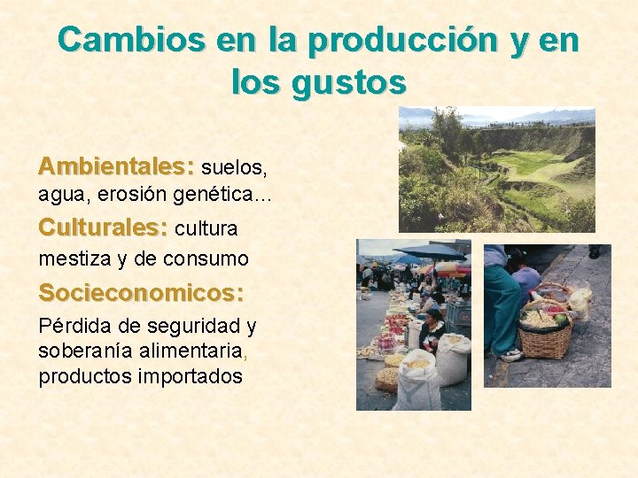Cambios en la producción y en los gustos Ambientales: suelos, agua, erosión genética… Culturales: