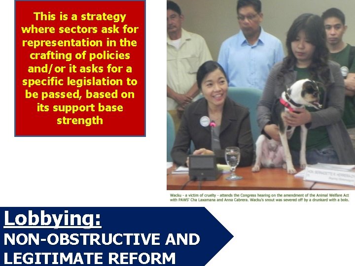 This is a strategy where sectors ask for representation in the crafting of policies