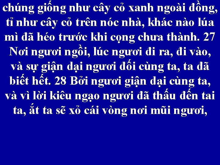 chúng giống như cây cỏ xanh ngoài đồng, tỉ như cây cỏ trên nóc