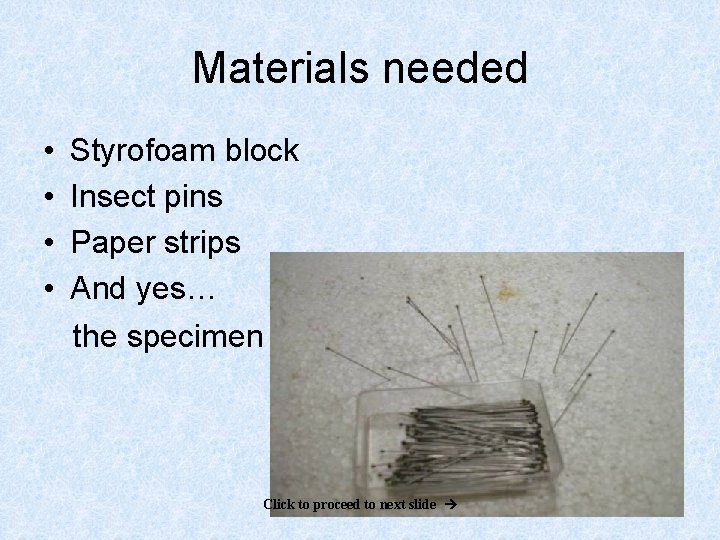 Materials needed • • Styrofoam block Insect pins Paper strips And yes… the specimen