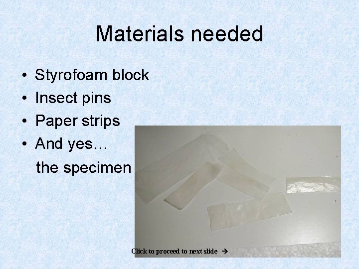 Materials needed • • Styrofoam block Insect pins Paper strips And yes… the specimen