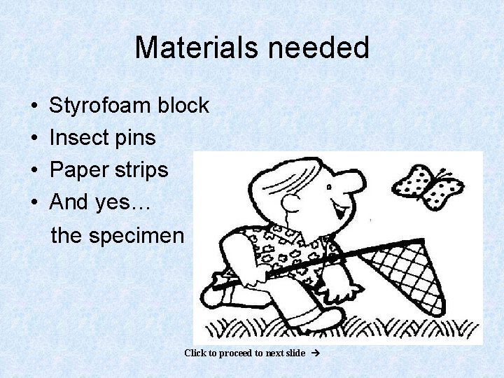 Materials needed • • Styrofoam block Insect pins Paper strips And yes… the specimen