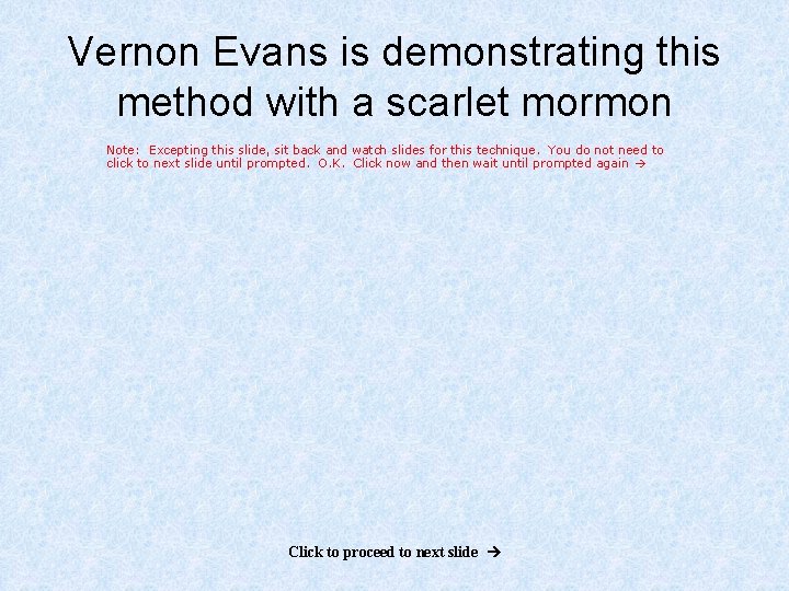 Vernon Evans is demonstrating this method with a scarlet mormon Note: Excepting this slide,