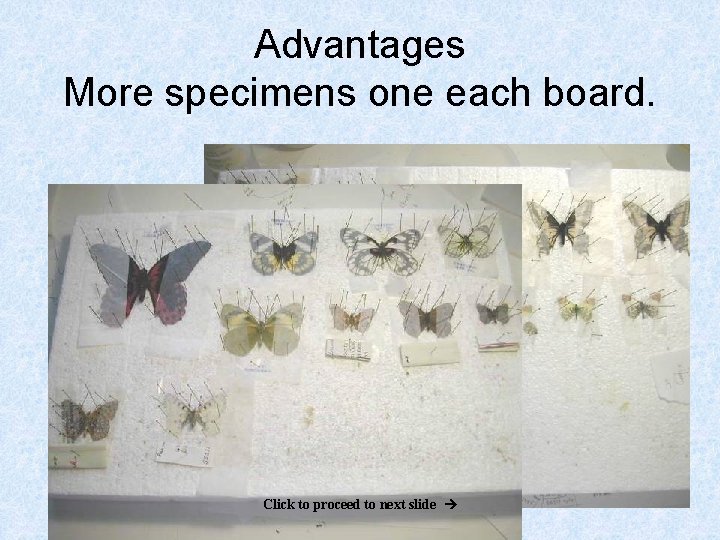 Advantages More specimens one each board. Click to proceed to next slide 