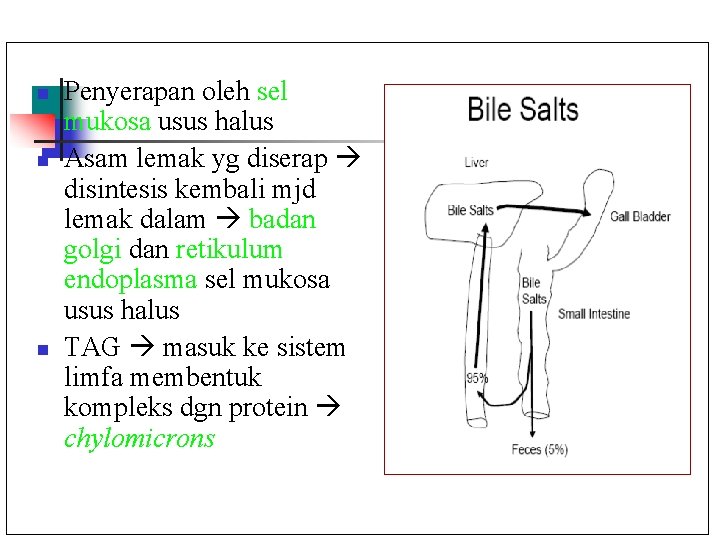 n n n Penyerapan oleh sel mukosa usus halus Asam lemak yg diserap disintesis