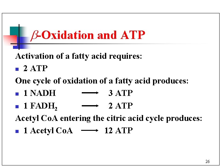  -Oxidation and ATP Activation of a fatty acid requires: n 2 ATP One
