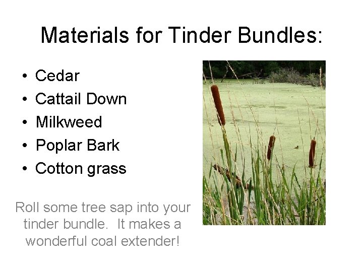 Materials for Tinder Bundles: • • • Cedar Cattail Down Milkweed Poplar Bark Cotton