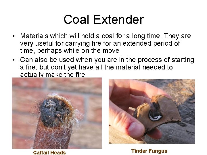 Coal Extender • Materials which will hold a coal for a long time. They