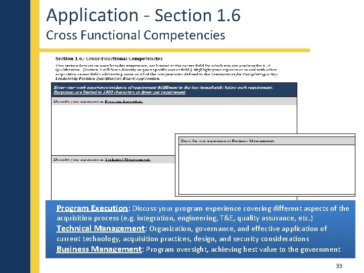 Application - Section 1. 6 Cross Functional Competencies Program Execution: Discuss your program experience