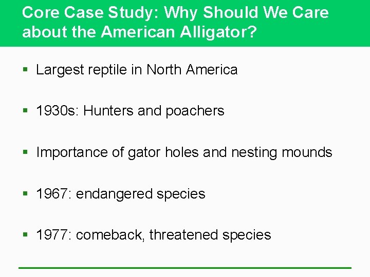 Core Case Study: Why Should We Care about the American Alligator? § Largest reptile