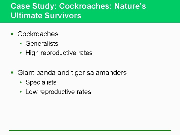 Case Study: Cockroaches: Nature’s Ultimate Survivors § Cockroaches • Generalists • High reproductive rates