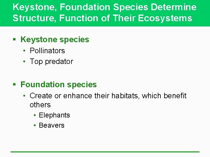 Keystone, Foundation Species Determine Structure, Function of Their Ecosystems § Keystone species • Pollinators