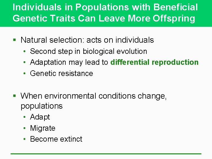 Individuals in Populations with Beneficial Genetic Traits Can Leave More Offspring § Natural selection: