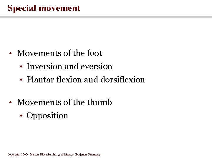 Special movement • Movements of the foot • Inversion and eversion • Plantar flexion