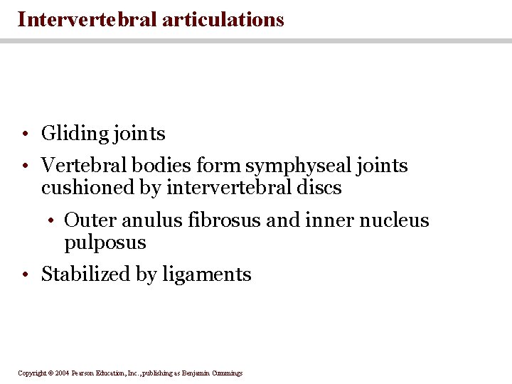 Intervertebral articulations • Gliding joints • Vertebral bodies form symphyseal joints cushioned by intervertebral