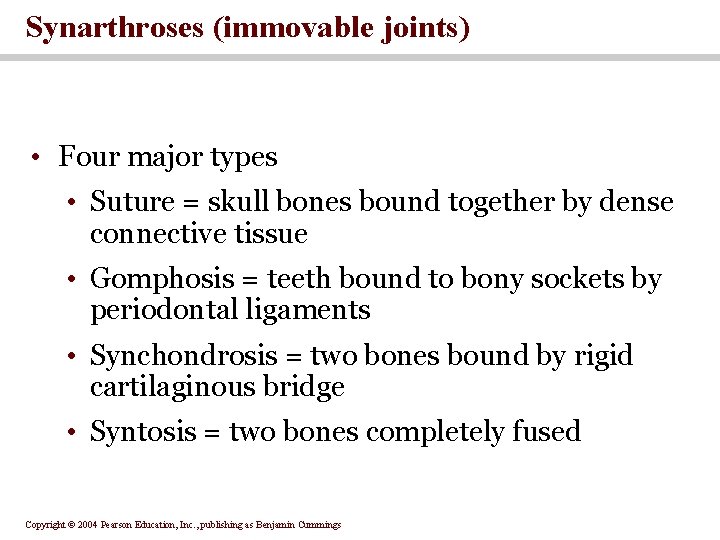 Synarthroses (immovable joints) • Four major types • Suture = skull bones bound together