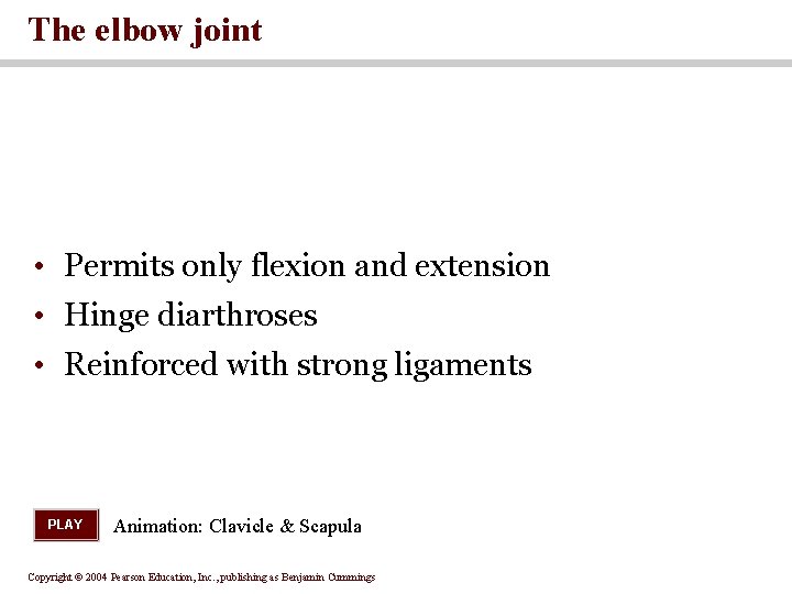 The elbow joint • Permits only flexion and extension • Hinge diarthroses • Reinforced