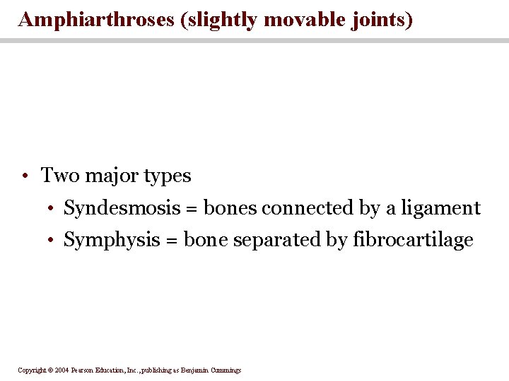 Amphiarthroses (slightly movable joints) • Two major types • Syndesmosis = bones connected by