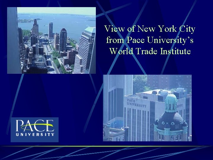 View of New York City from Pace University’s World Trade Institute 
