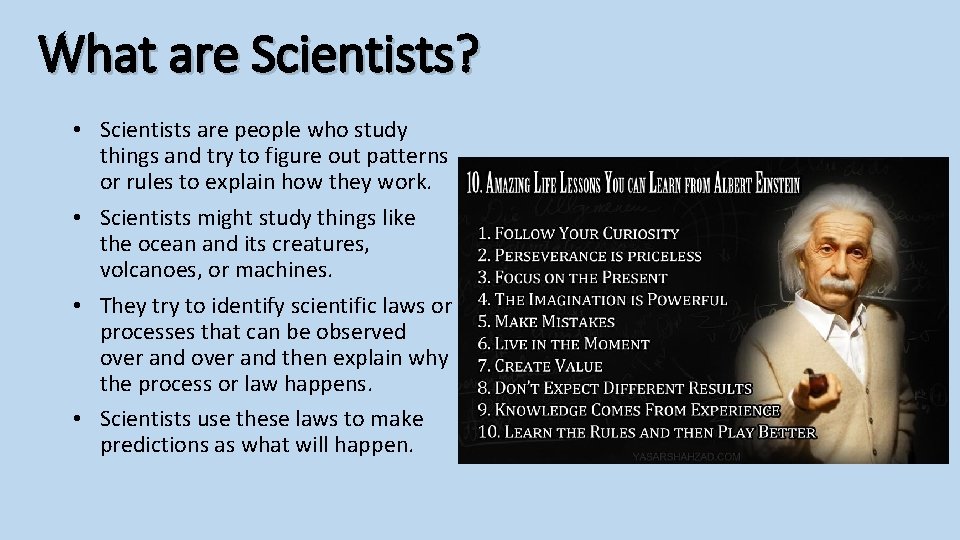 What are Scientists? • Scientists are people who study things and try to figure