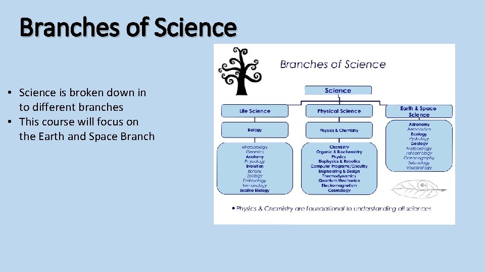 Branches of Science • Science is broken down in to different branches • This