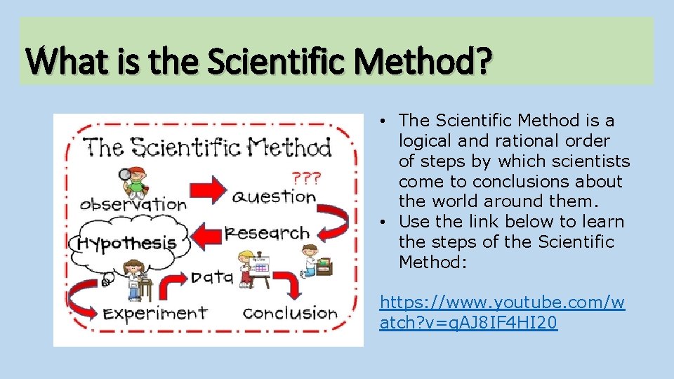 What is the Scientific Method? • The Scientific Method is a logical and rational