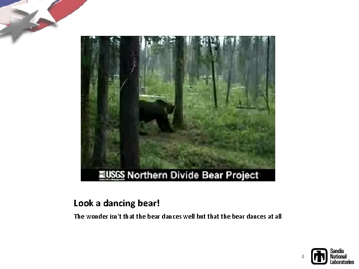 Look a dancing bear! The wonder isn't that the bear dances well but that