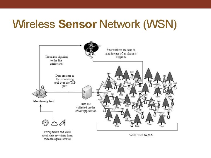 Wireless Sensor Network (WSN) 