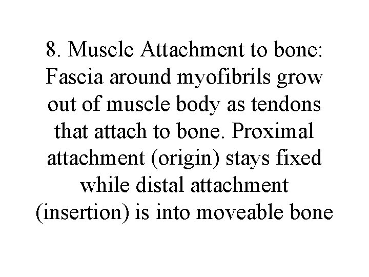 8. Muscle Attachment to bone: Fascia around myofibrils grow out of muscle body as