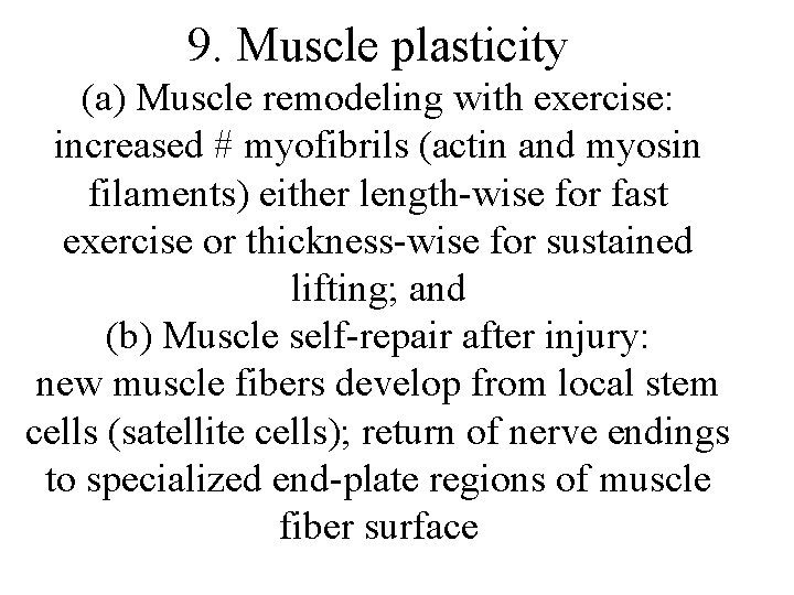 9. Muscle plasticity (a) Muscle remodeling with exercise: increased # myofibrils (actin and myosin