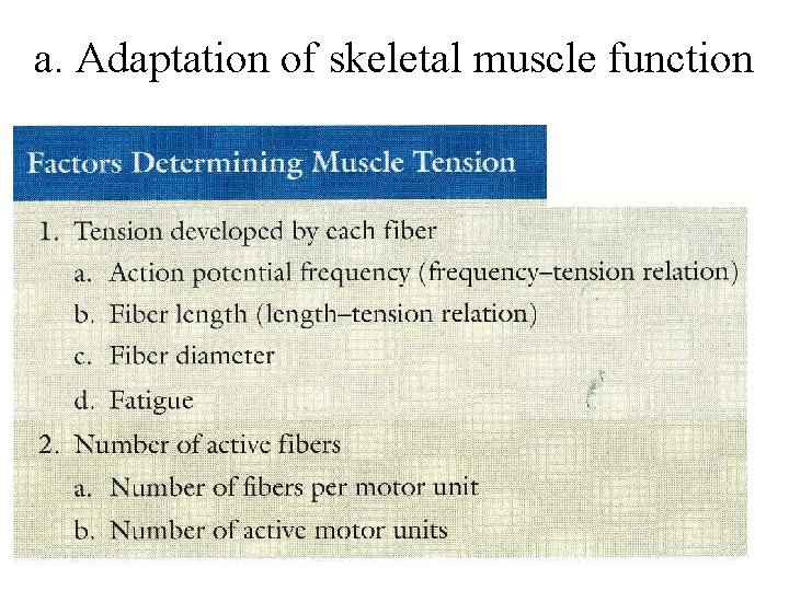 a. Adaptation of skeletal muscle function 