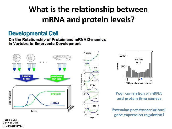 What is the relationship between m. RNA and protein levels? Poor correlation of m.