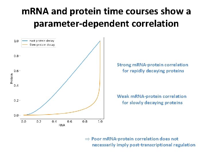 m. RNA and protein time courses show a parameter-dependent correlation Strong m. RNA-protein correlation