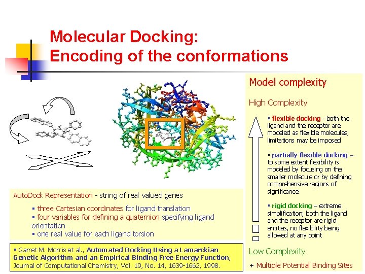 Molecular Docking: Encoding of the conformations Model complexity High Complexity § flexible docking -