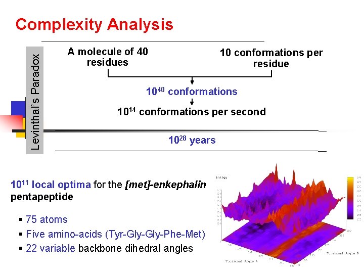 Levinthal’s Paradox Complexity Analysis A molecule of 40 residues 10 conformations per residue 1040