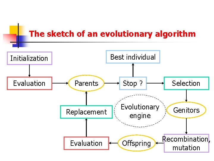 The sketch of an evolutionary algorithm Best individual Initialization Evaluation Parents Replacement Evaluation Stop