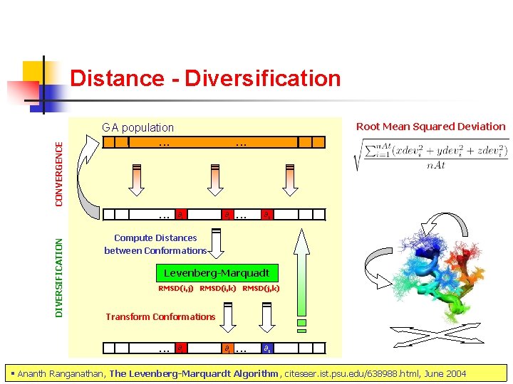 Distance - Diversification Root Mean Squared Deviation DIVERSIFICATION CONVERGENCE GA population . . ∂i