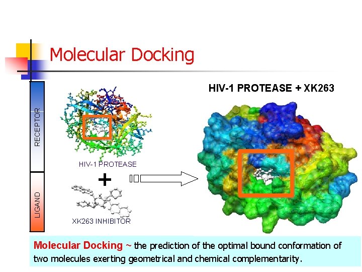 Molecular Docking RECEPTOR HIV-1 PROTEASE + XK 263 HIV-1 PROTEASE LIGAND + XK 263