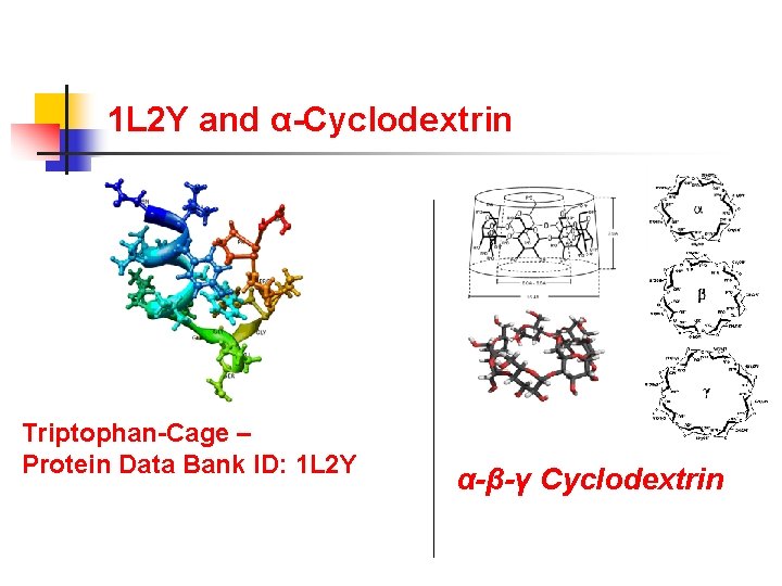 1 L 2 Y and α-Cyclodextrin Triptophan-Cage – Protein Data Bank ID: 1 L