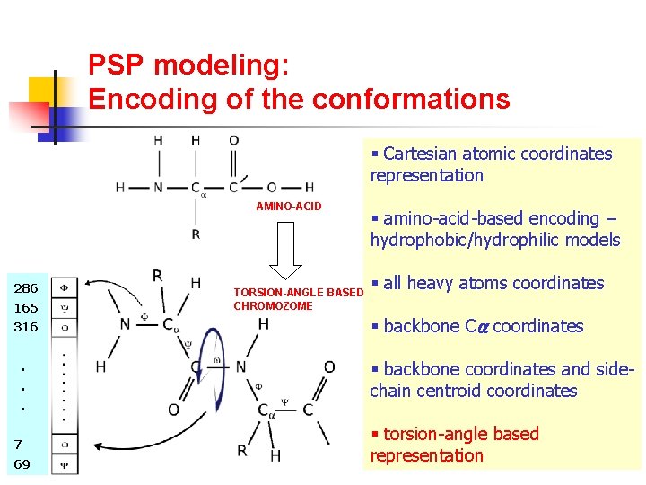 PSP modeling: Encoding of the conformations § Cartesian atomic coordinates representation AMINO-ACID 286 165
