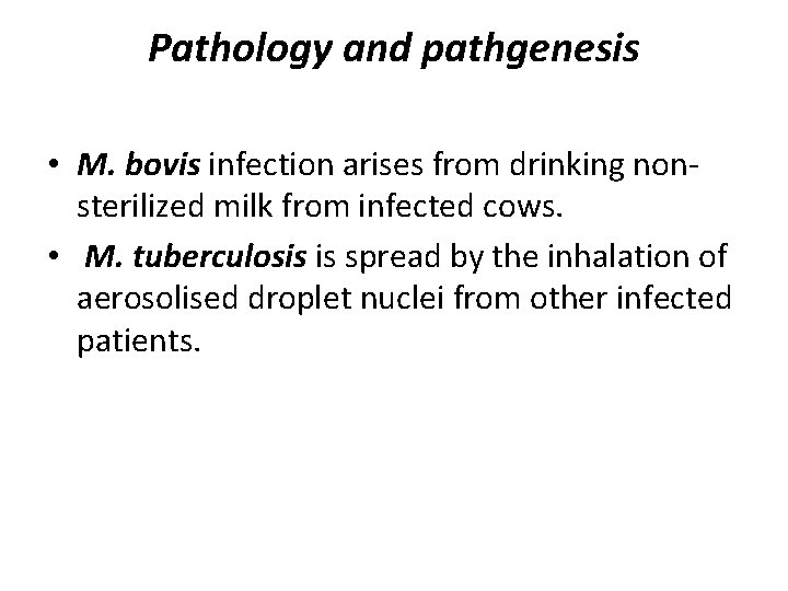 Pathology and pathgenesis • M. bovis infection arises from drinking nonsterilized milk from infected