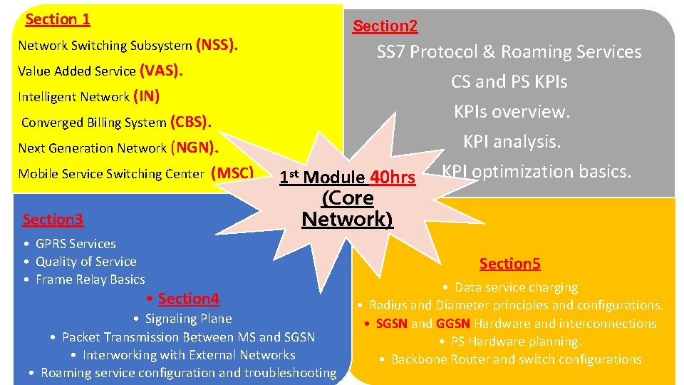 Section 1 Section 2 Network Switching Subsystem (NSS). SS 7 Protocol & Roaming Services