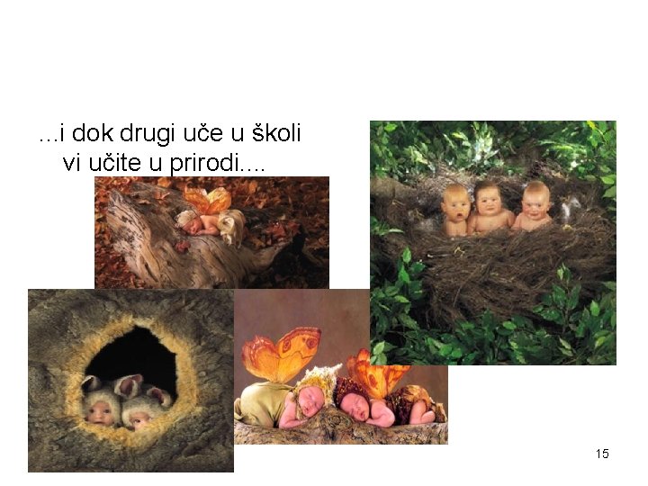 . . . i dok drugi uče u školi vi učite u prirodi. .