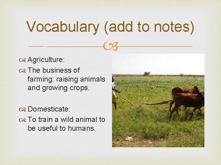 Vocabulary (add to notes) Agriculture: The business of farming: raising animals and growing crops.
