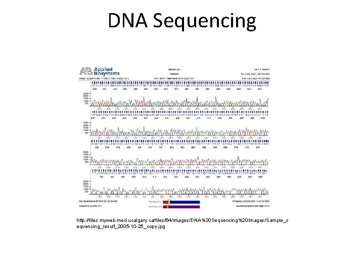 DNA Sequencing http: //files. myweb. med. ucalgary. ca/files/64/images/DNA%20 Sequencing%20 Images/Sample_s equencing_result_2005 -10 -25_copy. jpg