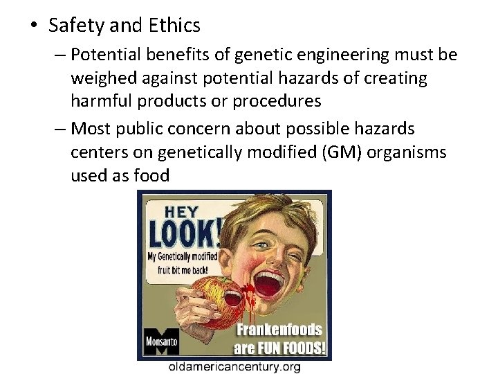  • Safety and Ethics – Potential benefits of genetic engineering must be weighed
